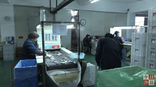 金楊科技春節(jié)不打烊，增資擴(kuò)產(chǎn)技術(shù)服務(wù)忙